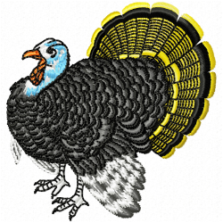 Wild Turkey Bird Embroidery Design 3